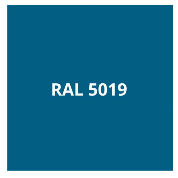 RAL-5019