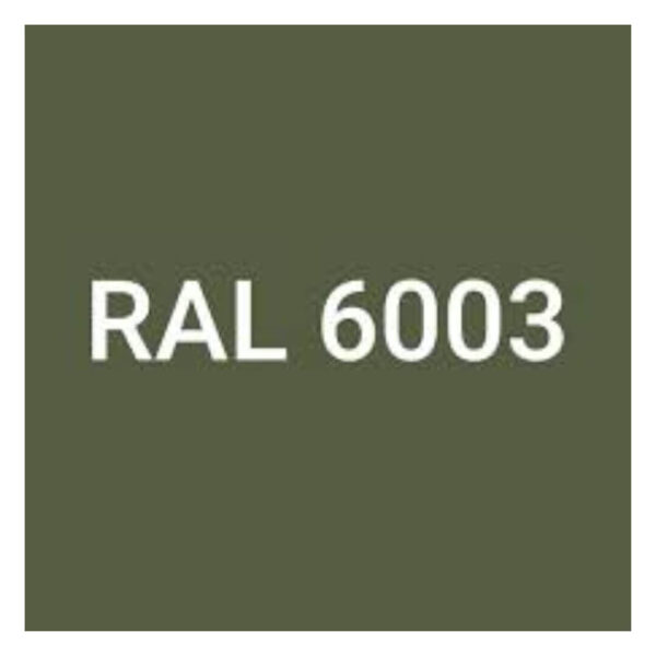 RAL-6003