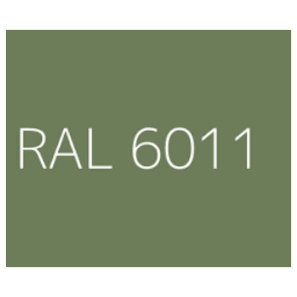 RAL-6011