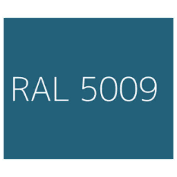 RAL-5009