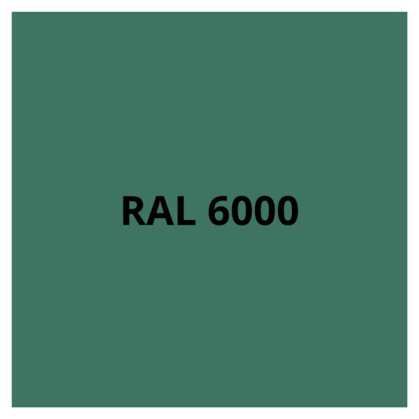 RAL-6000