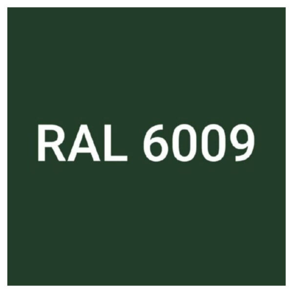 RAL-6009