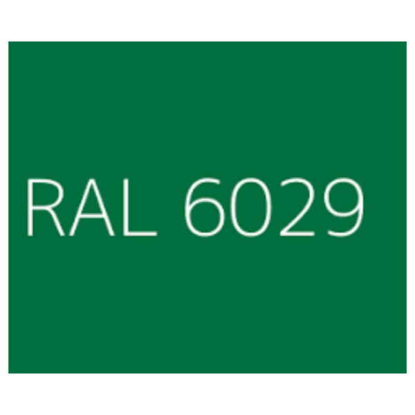 RAL-6029